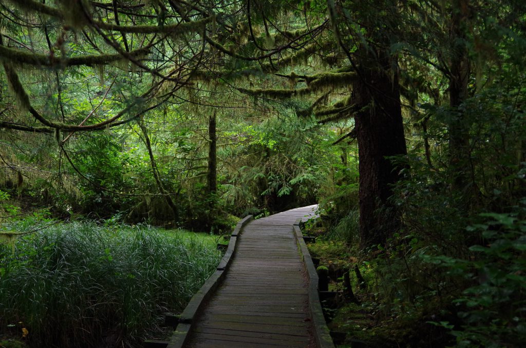 san_josef_bay_path